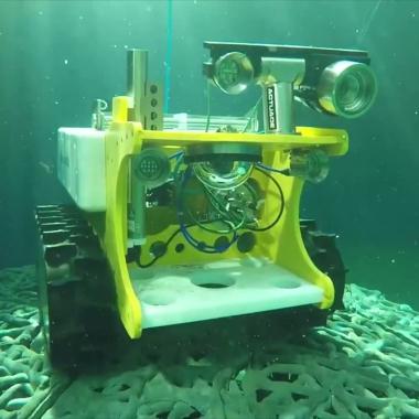 Voir la vidéo de BathyBot, le robot explorateur de l’océan profond