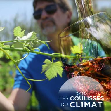 Voir la vidéo de Changement climatique : quel vin demain ?