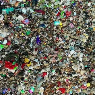 Bioplastique : solution partielle à une pollution globale