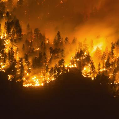 Voir la vidéo de En France, une stratégie payante face aux incendies ?