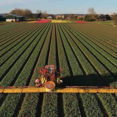 Voir la vidéo de Glyphosate, pourquoi la polémique rebondit