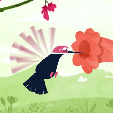 See video of Le colibri, champion du monde de haute-voltige