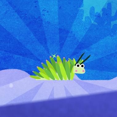 Voir la vidéo de Le mouton de mer, énergie 100% légumes verts