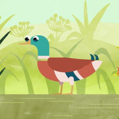 Voir la vidéo de Le canard, la méga flotte