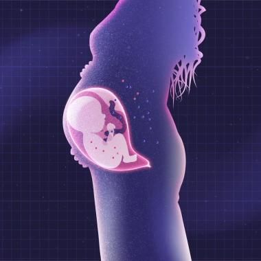 See video of Microchimerism: the foreign cells inside us!