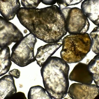 Voir la vidéo de Une IA retrace l’évolution de la Terre grain par grain