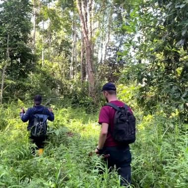 Voir la vidéo de Chasseurs de virus à Bornéo
