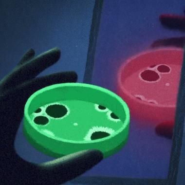 Voir la vidéo de Bactéries miroirs, faut-il en avoir peur ?