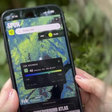 Voir la vidéo de Inédit ! La première cartographie du réseau mondial de champignons révèle une biodiversité méconnue
