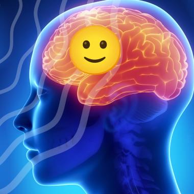Voir la vidéo de Les ultrasons, une révolution médicale ?