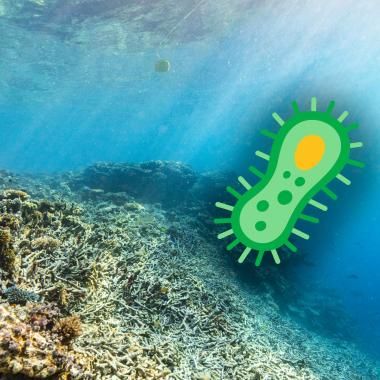 Voir la vidéo de Pourquoi le réchauffement des océans menace l’oxygène de la Terre