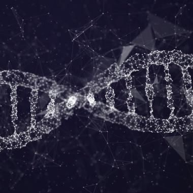 Voir la vidéo de Toute la mémoire du monde sur ADN