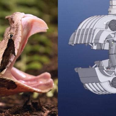 Voir la vidéo de Un connecteur électrique inspiré du serpent