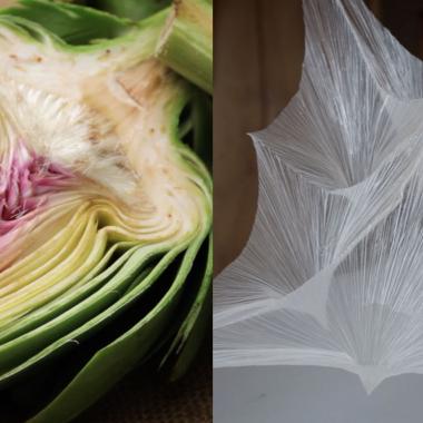 Voir la vidéo de Comment les plis du vivant inspirent-ils les matériaux du futur ?