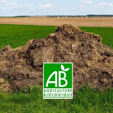 Voir la vidéo de Agriculture bio : le casse-tête de l’azote