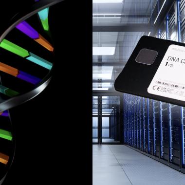 Voir la vidéo de Toute la mémoire du monde sur ADN