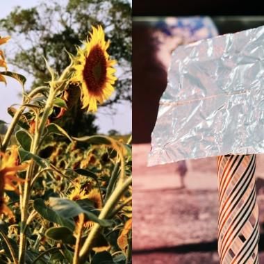 Voir la vidéo de Des matériaux vivants sur la Lune