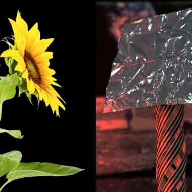 Voir la vidéo de Des matériaux « vivants » sur la Lune