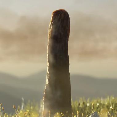 Voir la vidéo de Le mystère des prototaxites