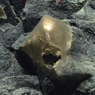 Voir la vidéo de Abysses : la sphère dorée trouvée en 2023 est enfin identifiée