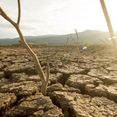 Voir la vidéo de El Niño : vers des risques météo extrêmes pour l’été 2026 ?