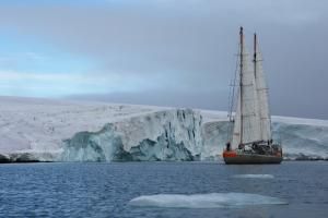 L’océan Arctique, berceau de la biodiversité virale