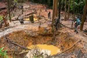  L’orpaillage clandestin : des « trous dans la forêt » guyanaise