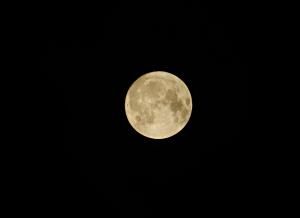 “On the moon again”: offrez-vous la Lune !