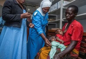 L’OMS appelle à investir massivement dans la lutte contre le paludisme 