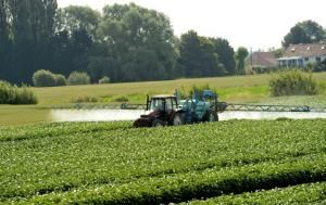Pesticides : le gouvernement ouvre la consultation sur les zones d’épandage