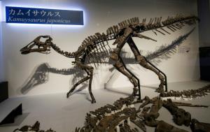 Découverte au Japon d’une nouvelle espèce de dinosaure 