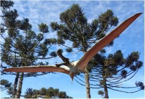 Un ptérosaure australien encore en vie il y a 90 millions d’années 