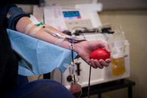 La période d’abstinence des homosexuels pour le don du sang bientôt réduite à 4 mois