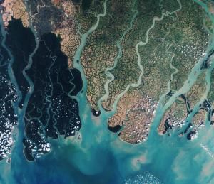 Delta du Gange : une montée des eaux de 85 à 140 cm d’ici 2100