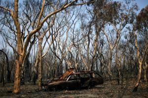 Australie : le « méga-feu » sous contrôle, de la pluie attendue 