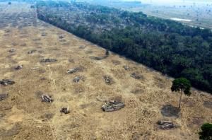 Des parties de la forêt amazonienne dévastées par le feu, près de Porto Velho, au Brésil, le 24 août 2019