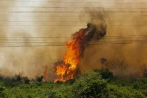Brésil : pire mois de juin en 13 ans pour les incendies en Amazonie