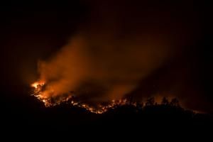 Californie : les célèbres vignobles de la Napa Valley en proie aux flammes