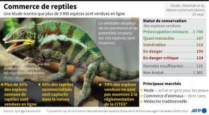 Le commerce non-réglementé de reptiles menace la biodiversité 