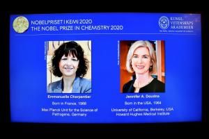 Un Nobel de chimie doublement féminin pour les « ciseaux génétiques »