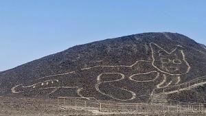  Pérou : un géoglyphe de chat découvert dans le désert de Nazca