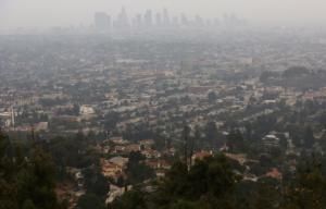 Los Angeles s’allie à Google pour cartographier ses arbres et lutter contre la chaleur