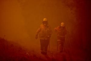 Australie : l’île Fraser en proie aux feux de forêt