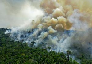 La déforestation en Amazonie brésilienne au plus haut depuis 12 ans