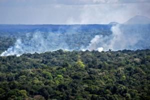 L’Amazonie brésilienne désormais émettrice nette de carbone
