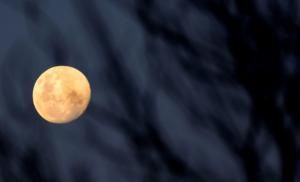  Les habitants du Pacifique prêts pour l’éclipse de la « super Lune »
