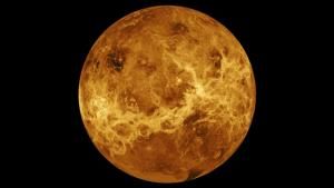 Pas de vie possible sur Vénus, faute d’eau