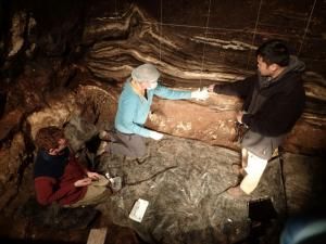 Denisova, Neandertal, Sapiens : 3 espèces, 3 ADN et une seule grotte