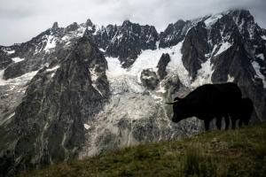 Mont Blanc : un glacier instable sous haute surveillance côté italien