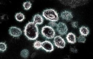Un Français récompensé pour une technique de séquençage en première ligne dans la pandémie